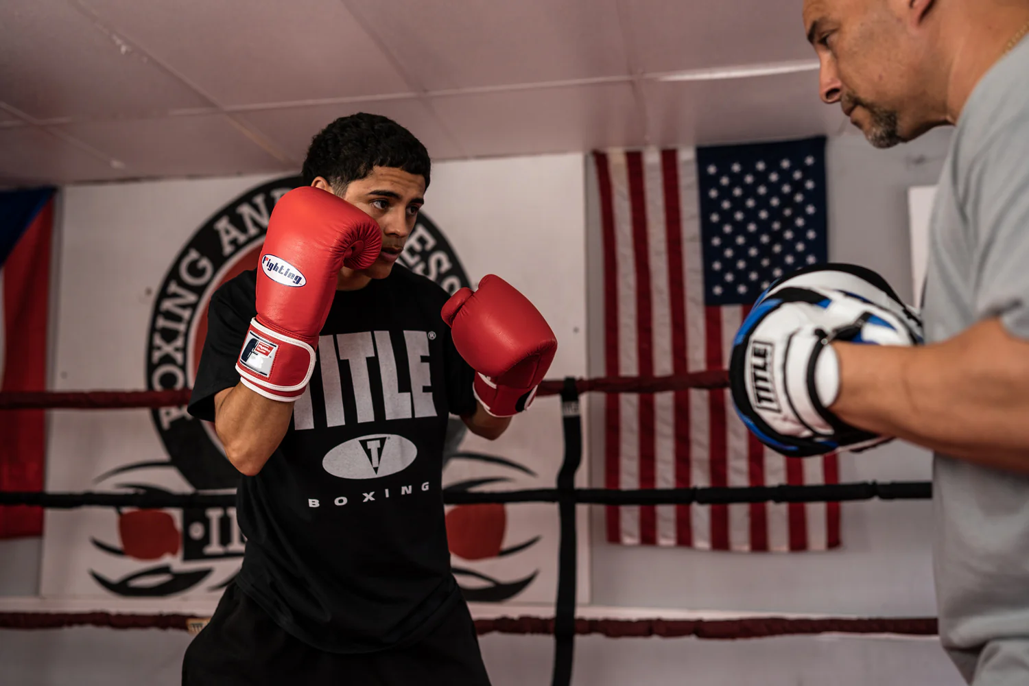 Fighting Fury Professional Training Boxing Gloves - Image 14