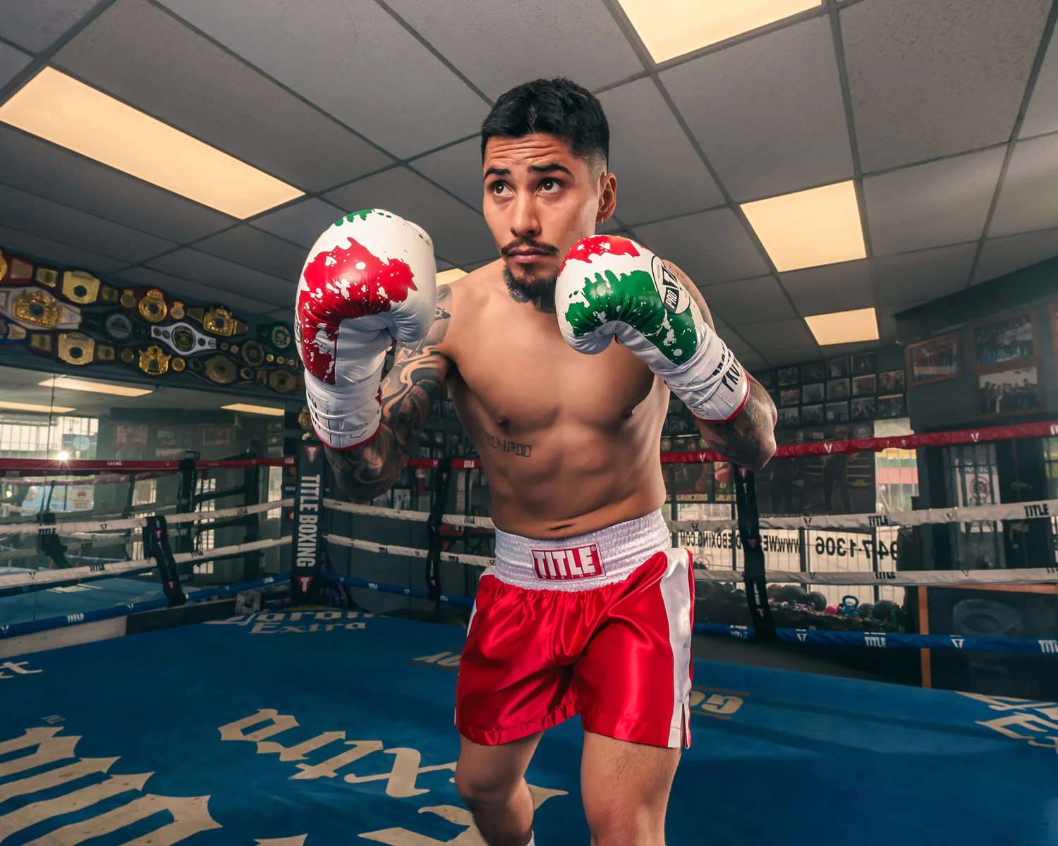 Pro Mex Combatiente Pro Fight Boxing Gloves - Image 8
