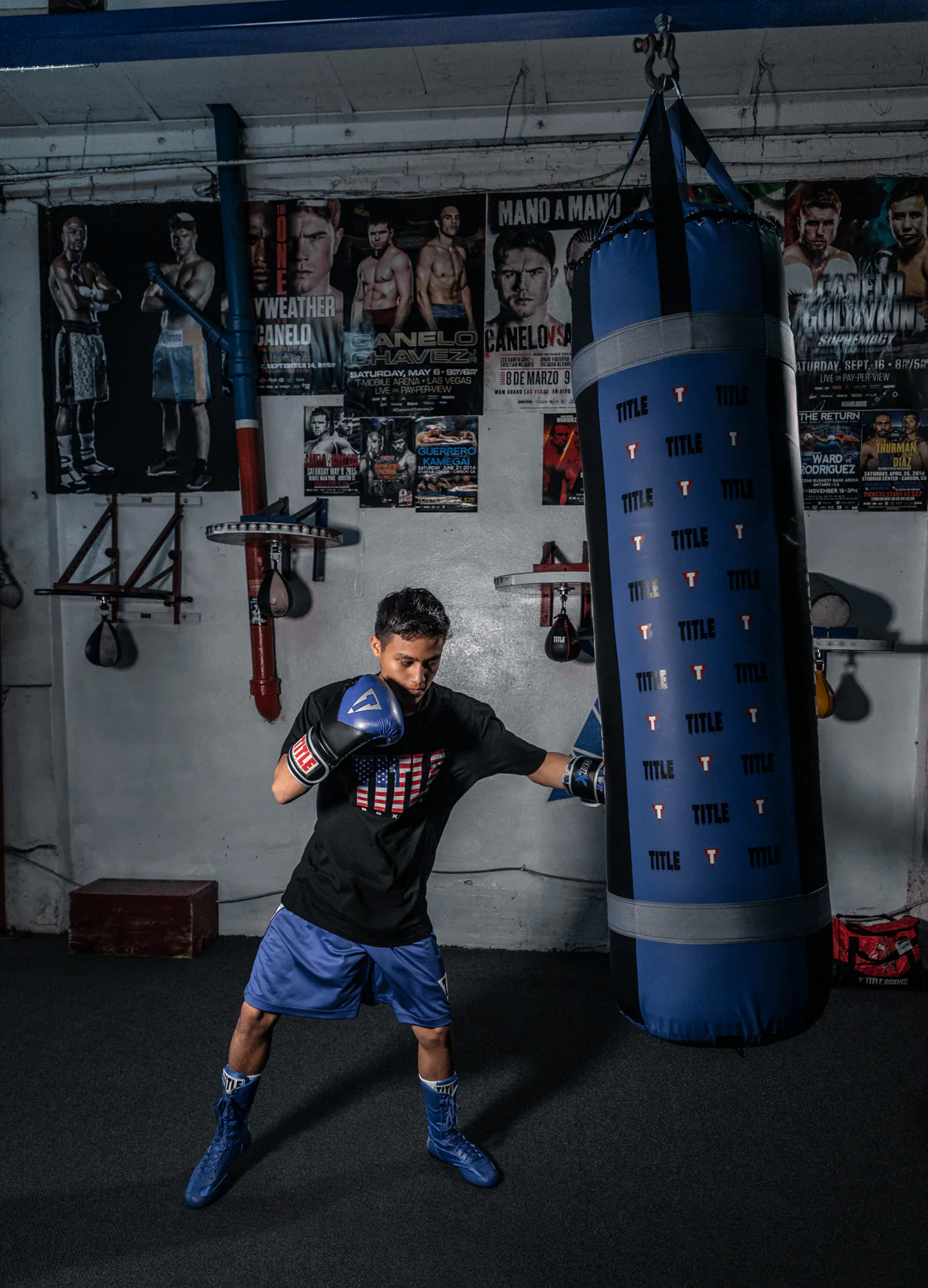 TITLE Boxing Greatest Heavy Bag Ever - Image 11