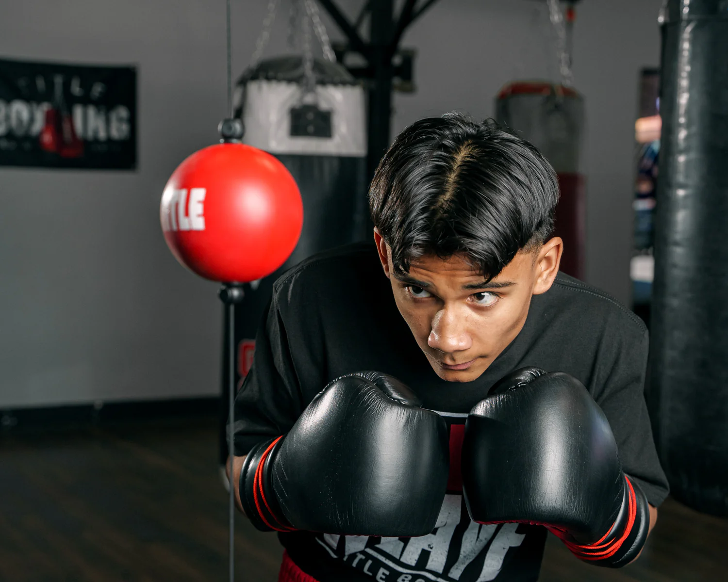 TITLE Boxing Quick Puncher 2.0 - Image 2