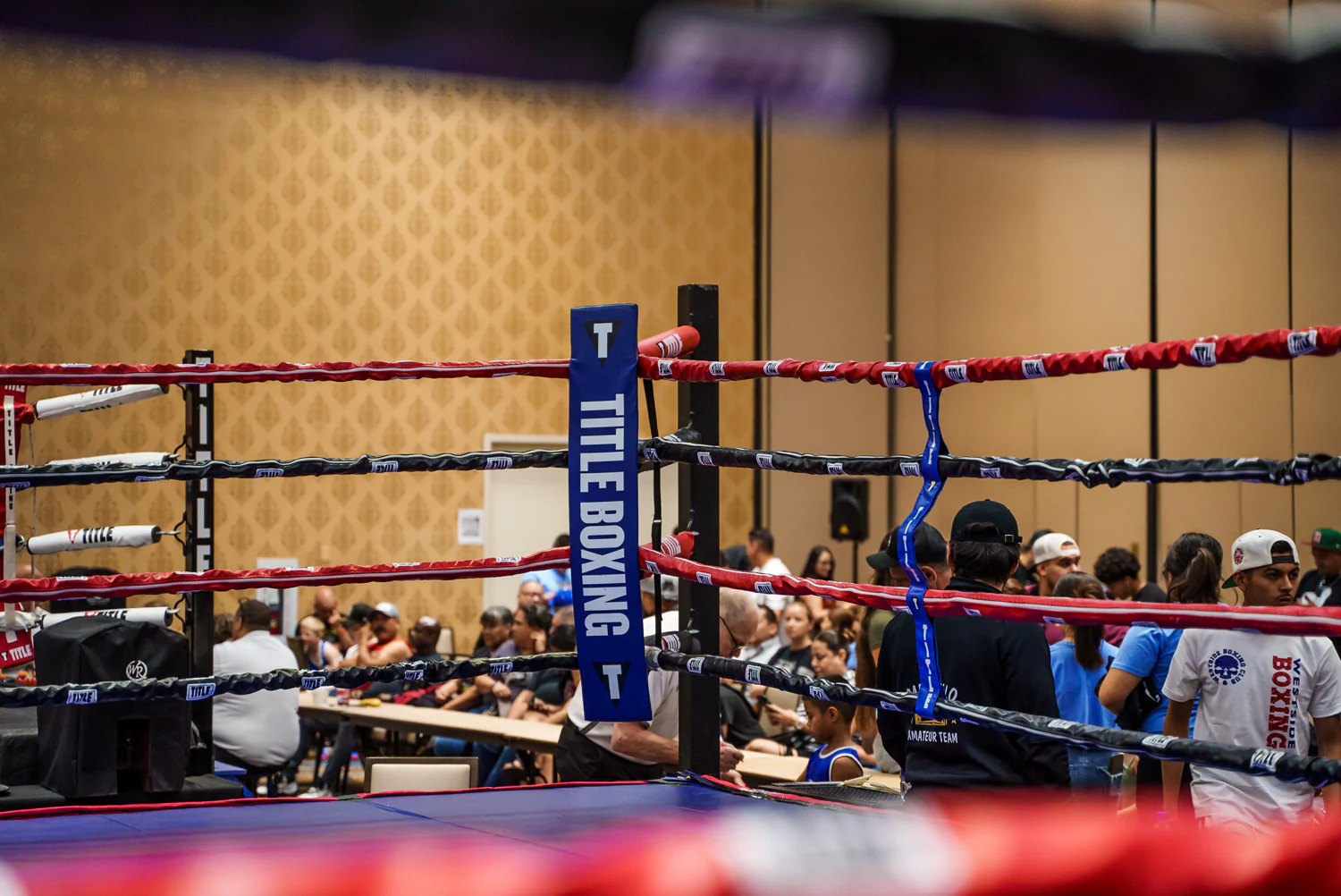 TITLE Boxing Two-Sided Rope Spacers - Image 19