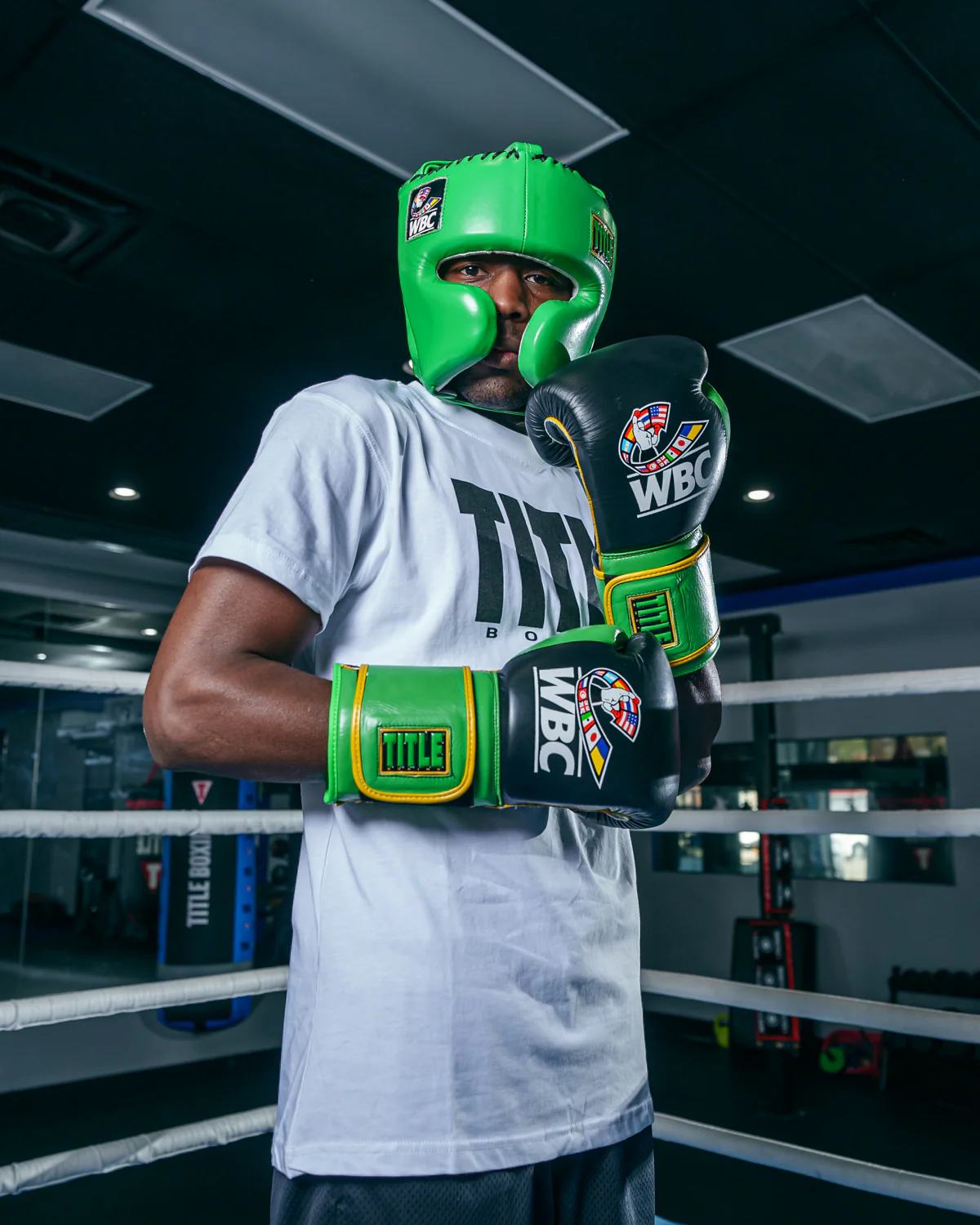 WBC by TITLE Boxing Training Boxing Gloves - Image 2