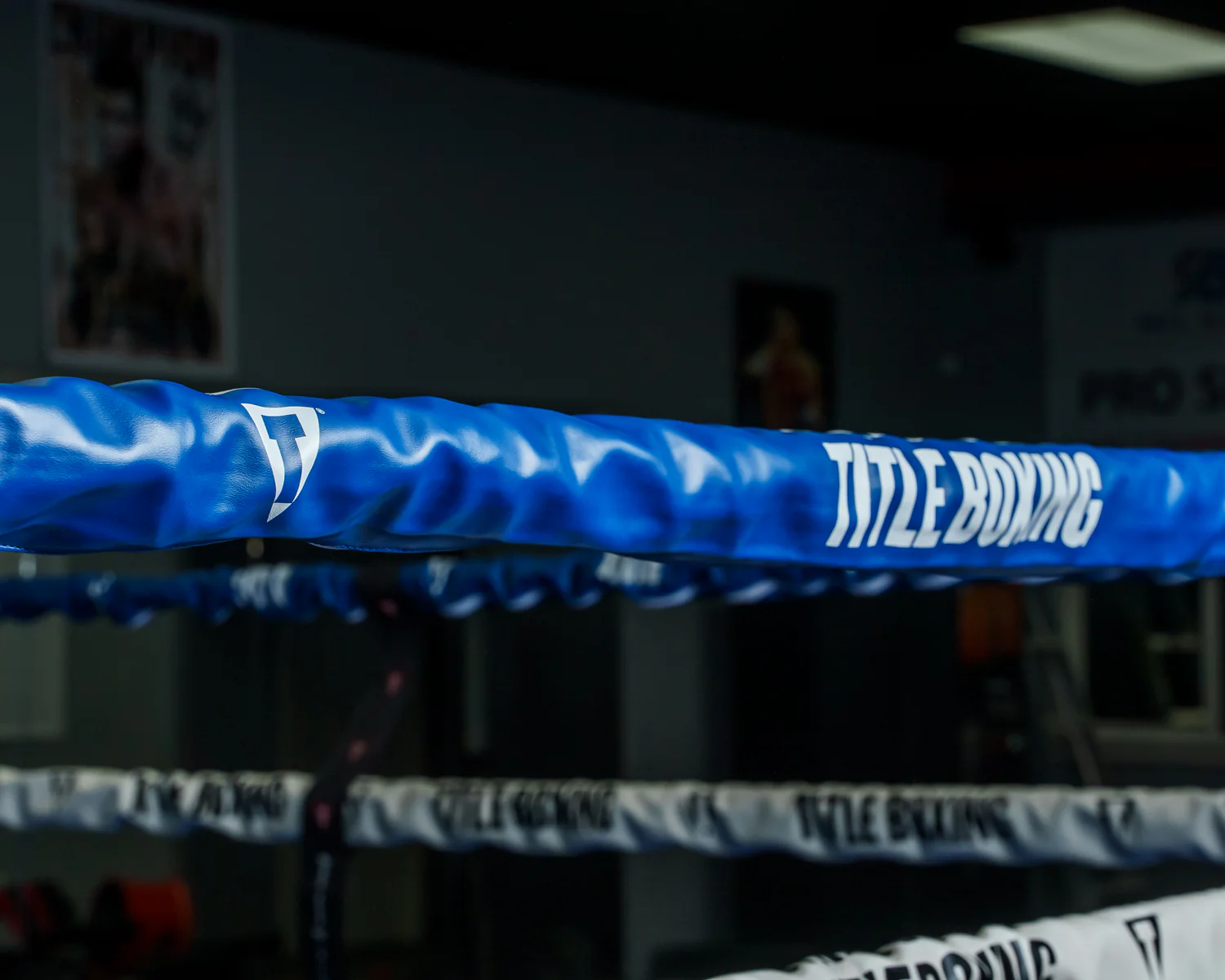 TITLE Boxing Pro Vinyl Zippered Rope Cover - Image 12