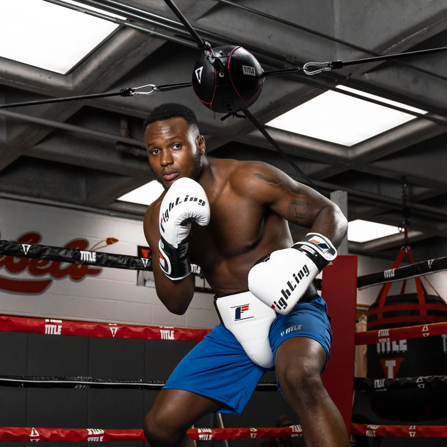 TITLE Boxing Spider Bag - Image 2